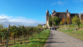 Blick ins Rheingau