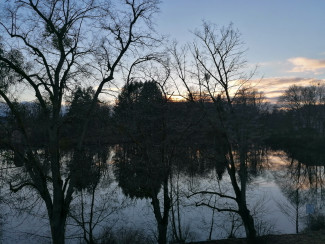 Blick auf den Weiher